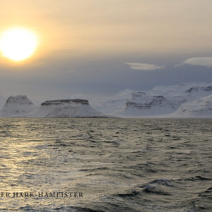 Arctic Sunrise