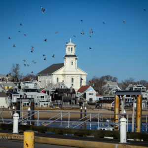 MacMillan Pier Provinceship