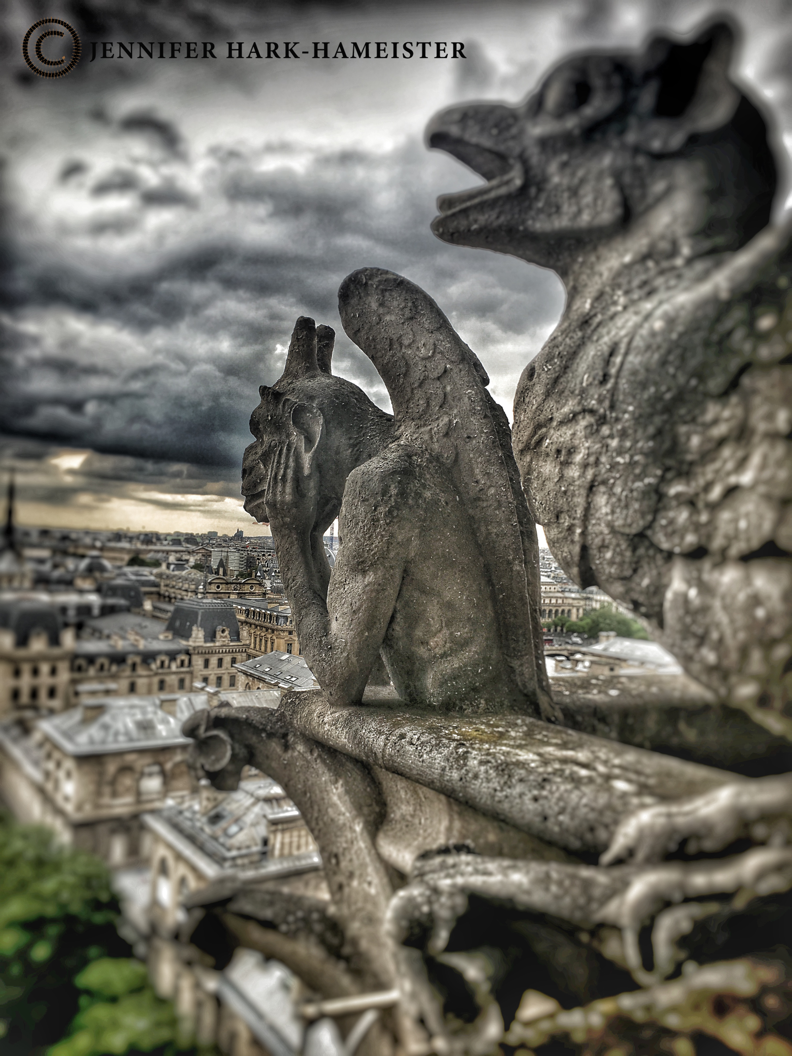 Paris Dreaming