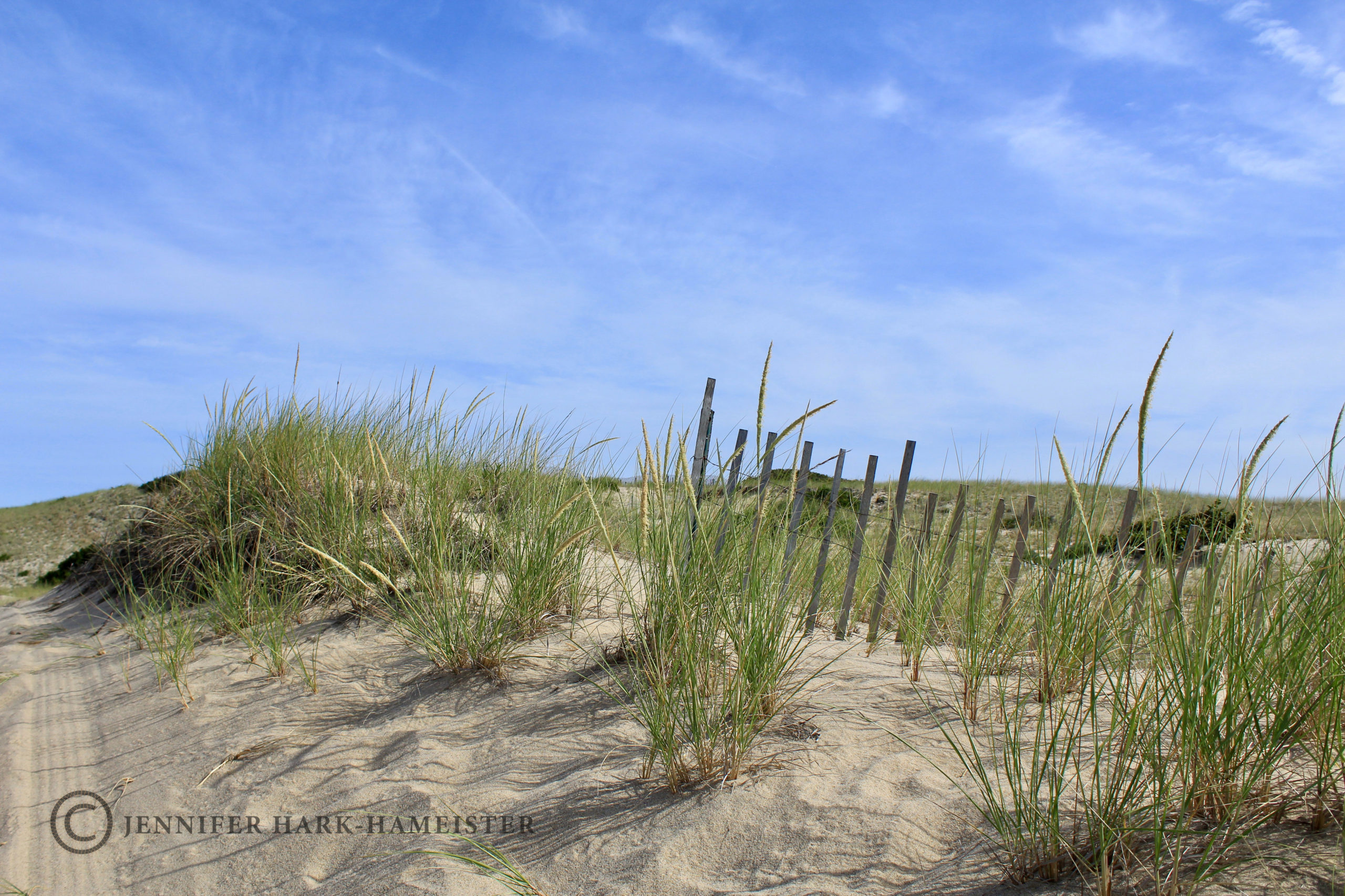 Provincetown Dunes