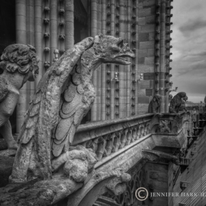 The Guardians of Notre-Dame