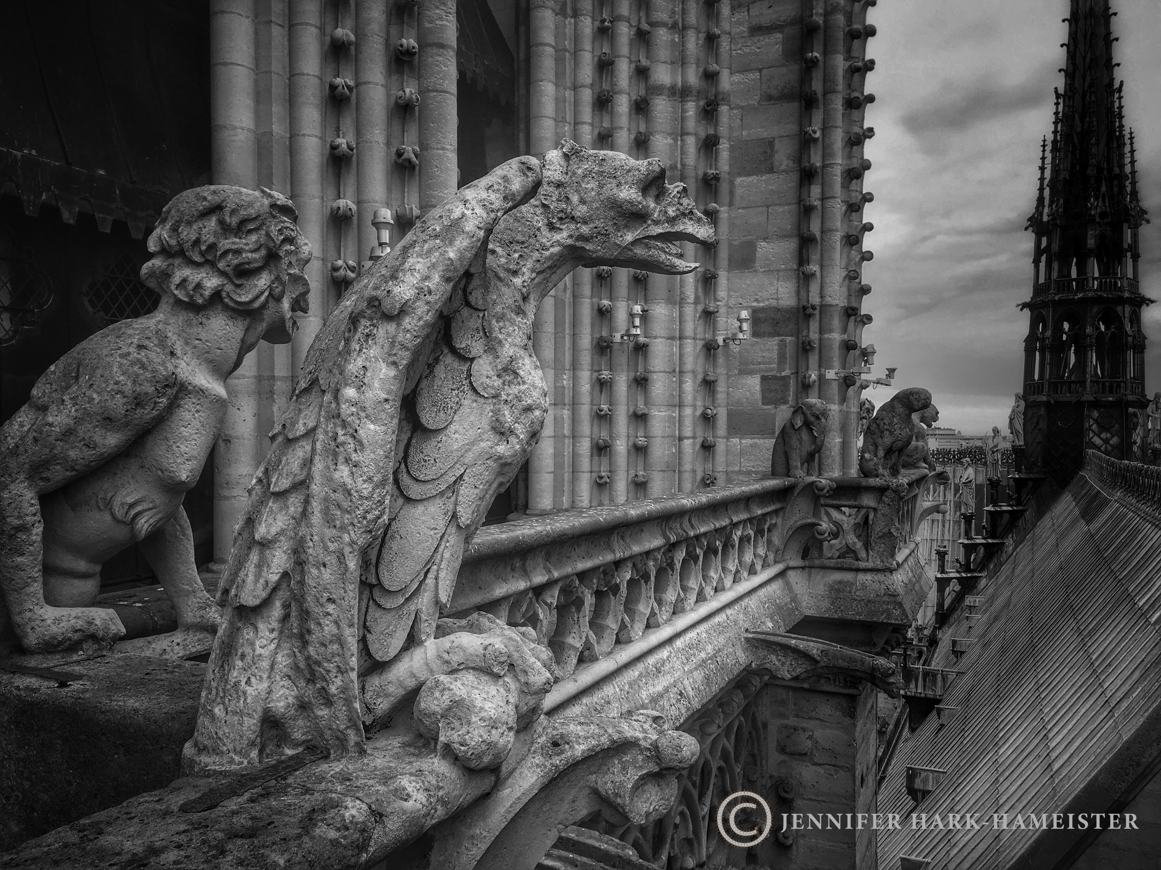 The Guardians of Notre-Dame