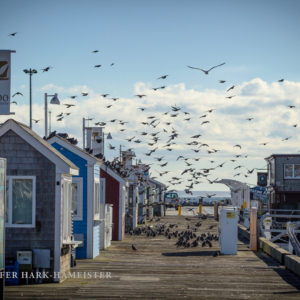 Winter Pier